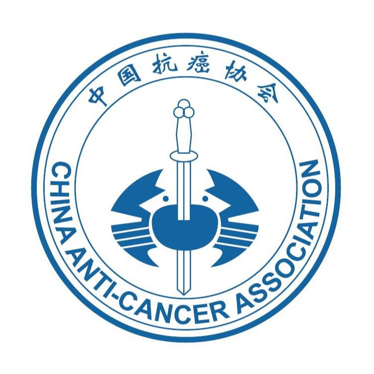 杏彩体育平台登录